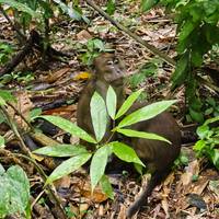 Eine Woche in Palawan, Philippinen Reise-Foto #3