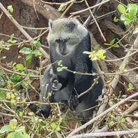 From Zanzibar to Selous : 13 days Beach and Safari Holiday traveler photo #1