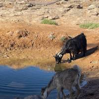 5 Tage private Wüstentour von Marrakesch nach Erg Chigaga Marokko Touren) Reise-Foto #1