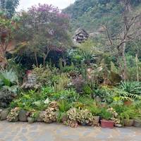 Photo de voyageur Fantastique Vietnam plus l