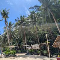 West Philippinen 10 Tage Reise-Foto #3