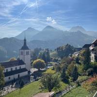 Swiss Miracle traveler photo #1