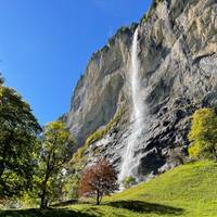 Swiss Miracle traveler photo #3