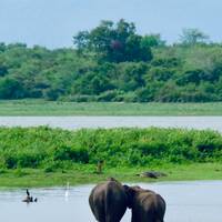 Sri Lanka Classic 12 Day - One Life Adventures traveler photo #3