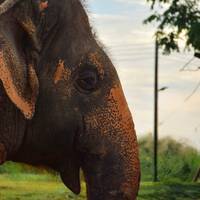 Spirit of Southeast Asia in 16 Tage: Eine Reise voller Kultur und Ruhe (Vietnam,Thailand,Bali) Reise-Foto #2