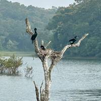 Increíble viaje a Kerala desde Cochin - 6 días: foto del viajero #1
