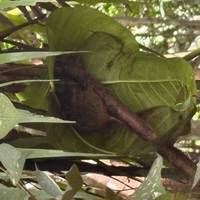 Eilandervaring op de Filippijnen: foto van de reiziger #2