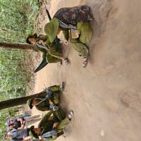 De Vietnam a Camboya 14 - Viaje de un día a los Tesoros: foto del viajero #1