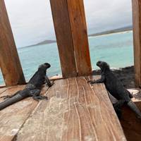 Het beste van Quito & de Galapagoseilanden – incl. vliegticket – een privé-groepsreis – 8 dagen: foto van de reiziger #1