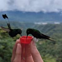 Lo mejor de Ecuador: foto del viajero #2