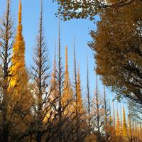 Japan Klassiker mit One Life Adventures 10 Tage Reise-Foto #3