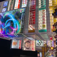 Japan Abenteuer 13 Tage Reise-Foto #1