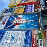 Japan Abenteuer 13 Tage Reise-Foto #2