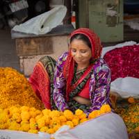 North India Culture Tour from Delhi traveler photo #3
