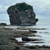 Taiwan: Taipei, Sun Moon Lake, Tainan, Kaohsiung, Kenting, Taroko - 8 days traveler photo #1