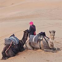 9 días de Ciudades Imperiales y Campamento de Lujo en el Desierto y Marruecos desde Casablanca: foto del viajero #2