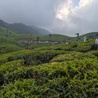 Essence of Idyllic South India traveler photo #3