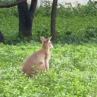 Photo de voyageur Le meilleur de l