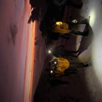 Kilimanjaro-beklimming – via de Lemosho-route – 8 dagen: foto van de reiziger #1