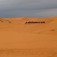 Marokko ab Marrakesch - 9 Tage Reise-Foto #3