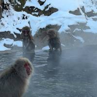 Centraal Japan: foto van de reiziger #1
