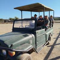 Gartenroute & Addo Erlebnisreise - 5 Tage Reise-Foto #2
