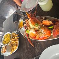 Camino soñado de Sri Lanka: foto del viajero #1