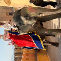 Viaje al Triángulo de Oro con Benarés: foto del viajero #1