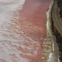 Photo de voyageur 7 jours de Perth à Exmouth Explorer & Ningaloo Reef Return - de Perth #1