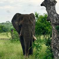 Das Beste aus Südafrika Reise-Foto #1