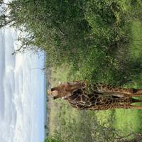 Das Beste aus Südafrika Reise-Foto #3