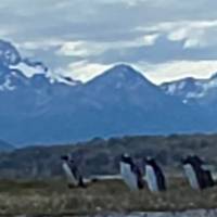 Photo de voyageur La fin de la Terre #2