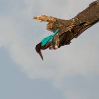 Photo de voyageur Sri Lanka : Trek, vélo et kayak #2