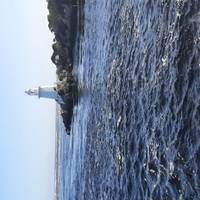 Gran Explorador de Tasmania - 7 días: foto del viajero #2