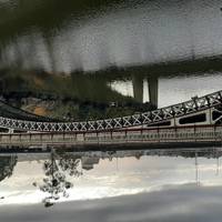 Gran Explorador de Tasmania - 7 días: foto del viajero #3