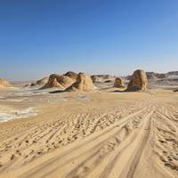 Goldenes Ägypten Tour: 14 Tage Luxus (Kairo GEM & Alexandria & Weiße Wüste & Nilkreuzfahrt & Hurghada) Reise-Foto #3