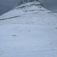 Island Familienurlaub - 3 Tage Reise-Foto #1