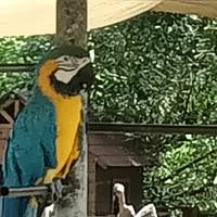 Colombia: Culture, Coffee & Caribbean traveler photo #2