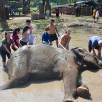 Amazing Thailand In 9 Days traveler photo #2