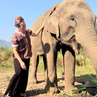Amazing Thailand In 9 Days traveler photo #3