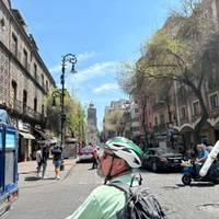 Das Beste von Mexiko: Städte, archäologische Stätten & Strände 11 Tage Tour (Privat) Reise-Foto #1