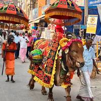 De trots van Zuid-India: foto van de reiziger #3