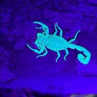 Costa Rica - Monteverde y La Fortuna: foto del viajero #2