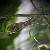 Costa Rica - Monteverde y La Fortuna: foto del viajero #1
