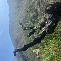 Annapurna Circuit-trekking: foto van de reiziger #3