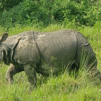 Bestseller Tour India with Nepal, flight included traveler photo #3