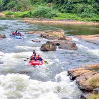 Sri Lanka Entdeckungsreise: Tierwelt, Natur, Abenteuer und Kultur Reise-Foto #1