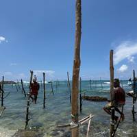 Sri Lanka Entdeckungsreise: Tierwelt, Natur, Abenteuer und Kultur Reise-Foto #3