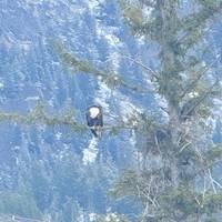Von Vancouver nach Jasper bis Calgary - 7 Tage Reise-Foto #1