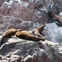Photo de voyageur Pérou Express - 10 jours (Lima - Cusco - Machu Picchu & Puno) avec vols intérieurs #3